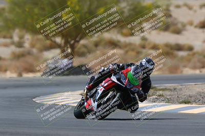 media/Apr-10-2022-SoCal Trackdays (Sun) [[f104b12566]]/Turn 5 Tree of Life (1040am)/